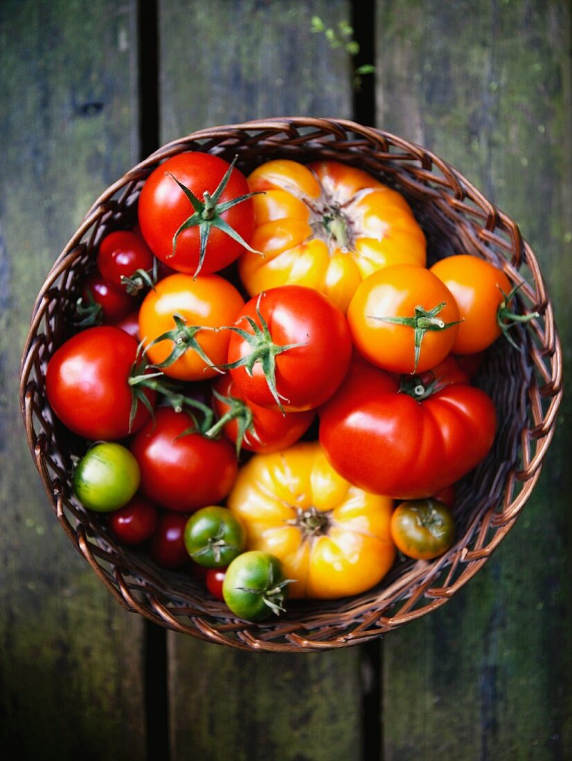 Verschiedene Tomaten im Korb