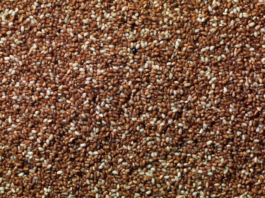 Teff Sirgaynia (full frame)