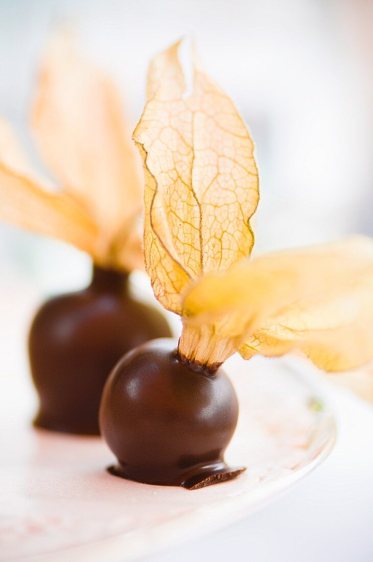 Chocolate-dipped physalis