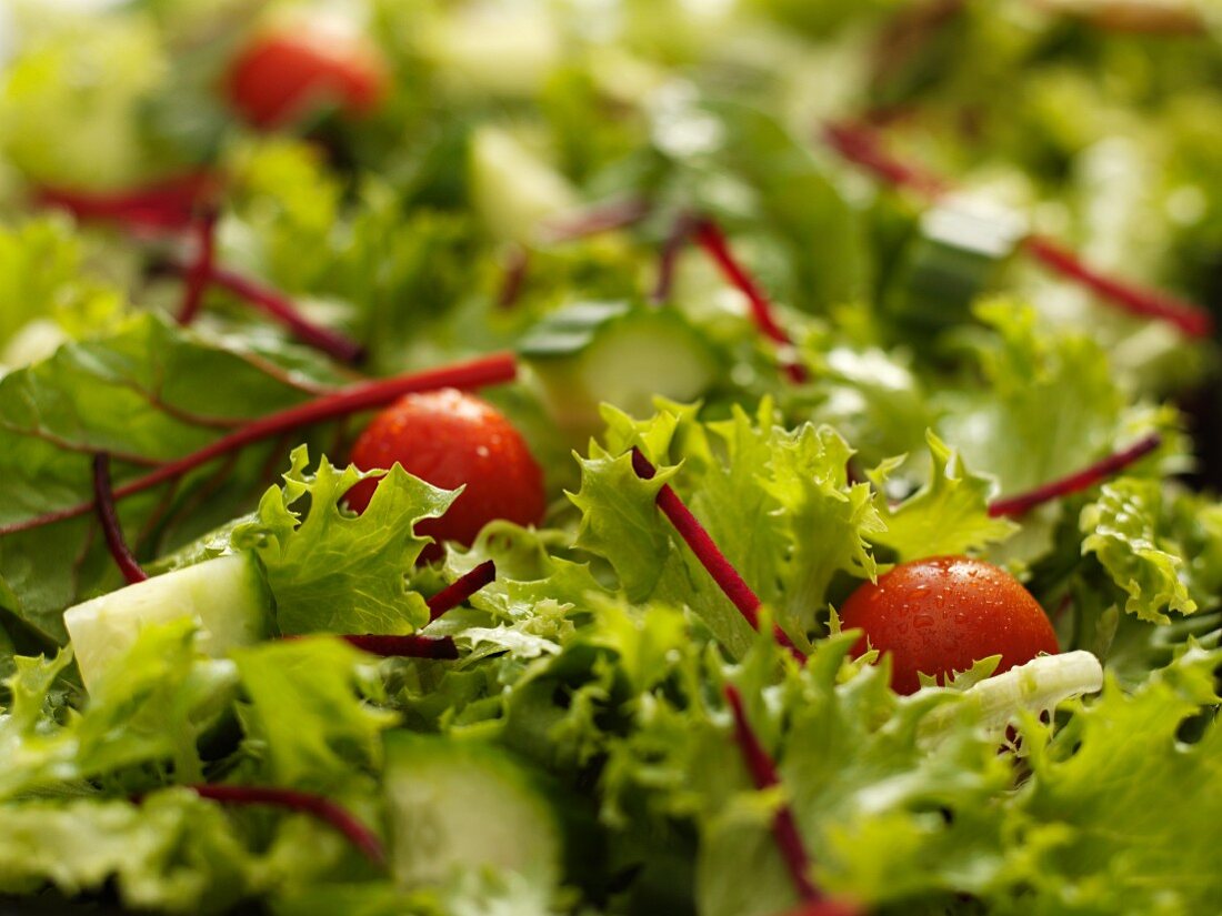 Green salad with cherry tomatoes and cucumber (close up)