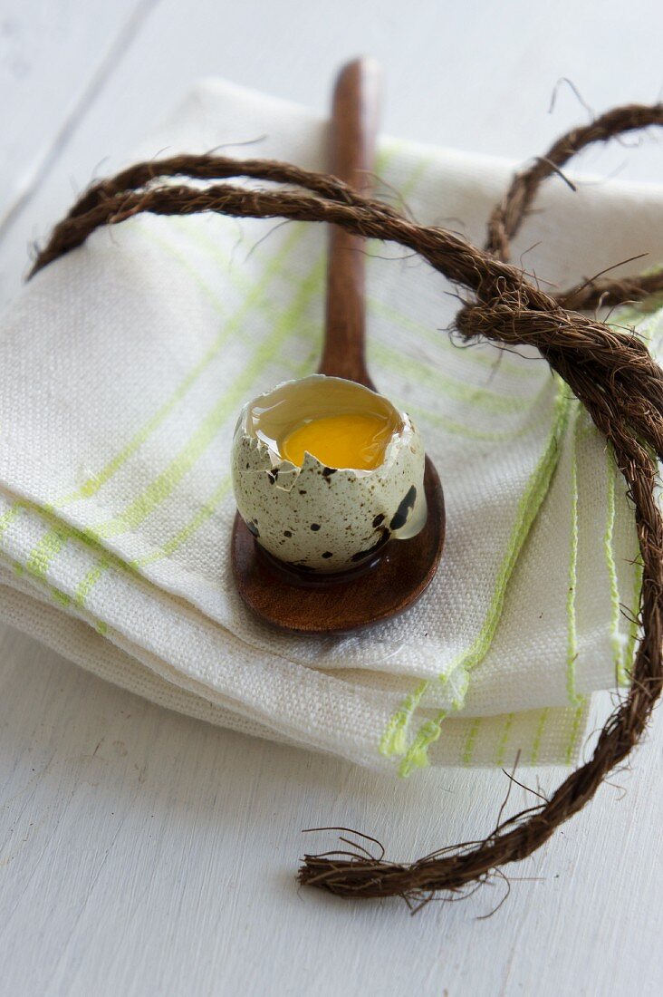 Raw quail egg on a wooden spoon