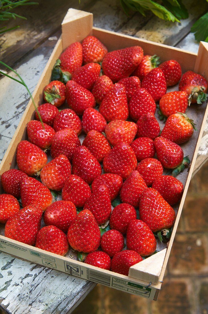 Strawberries in a crate