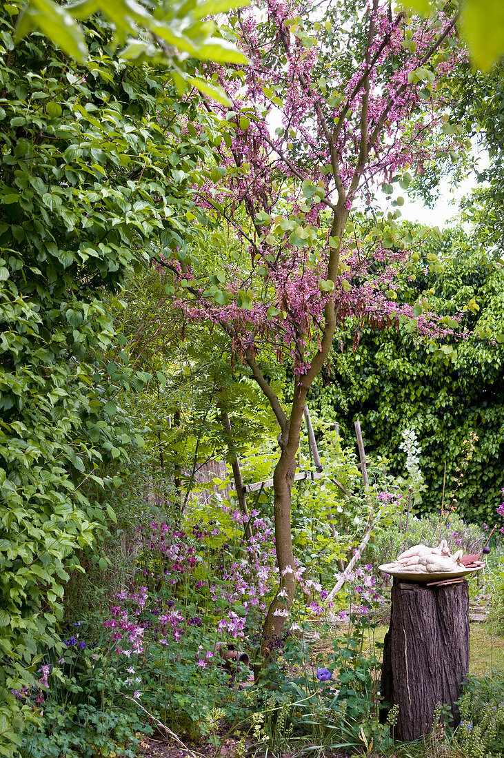 Blühende Bäume und Sträucher im Naturgarten