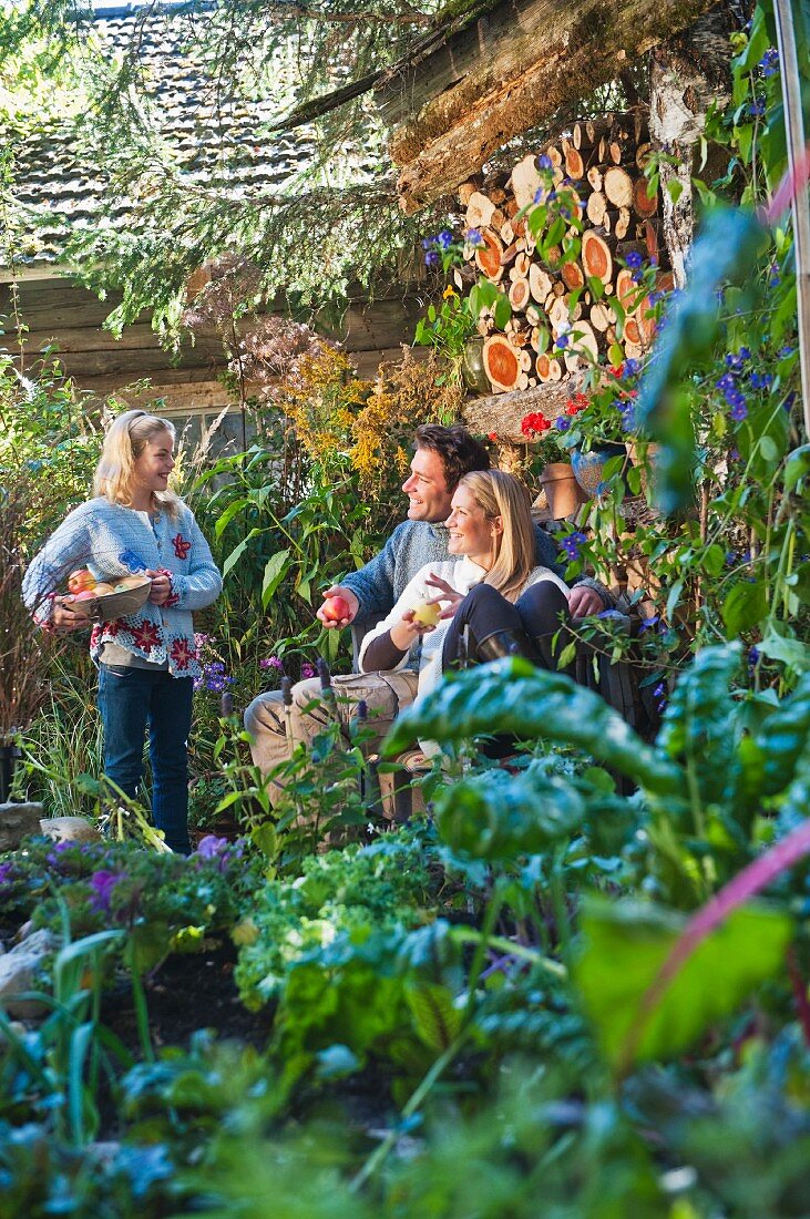 A family eating apples in a farm garden