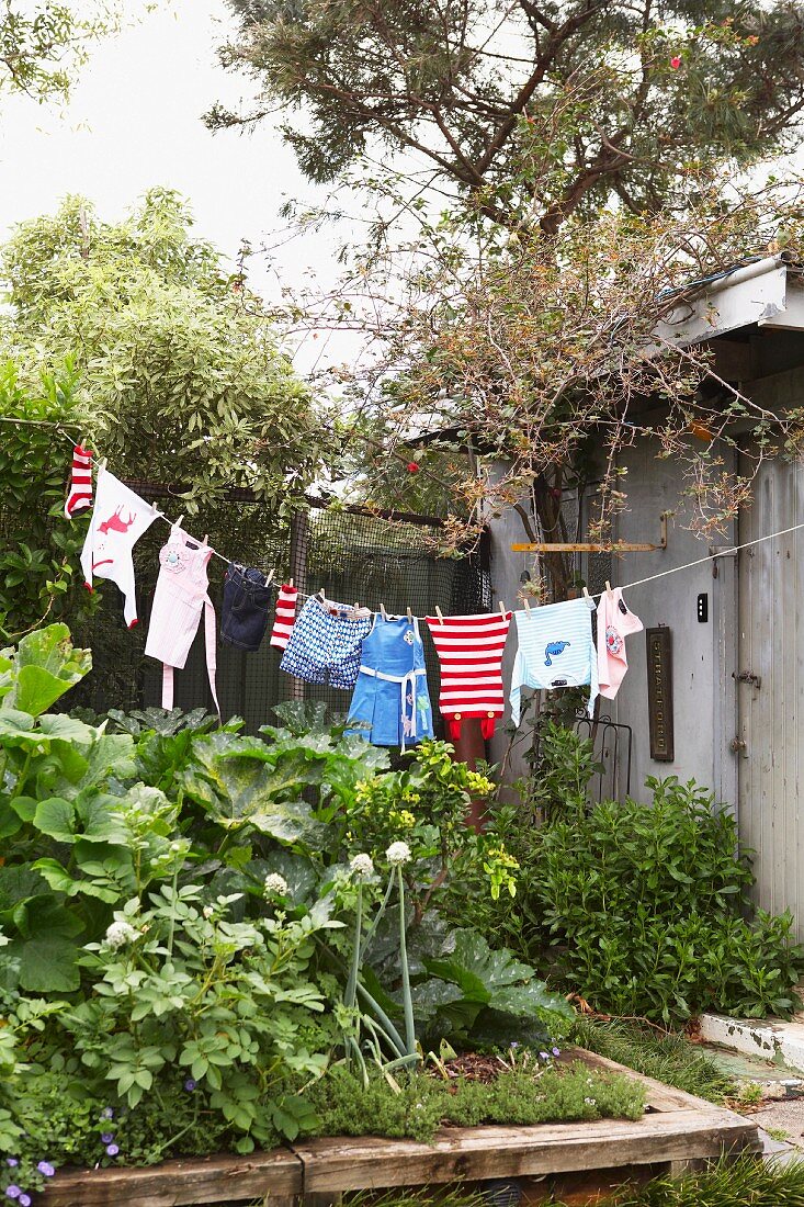 Vegetable with wooden surround and children's clothing on washing line