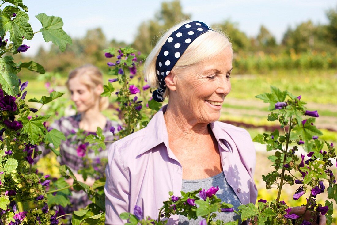 Zwei Frauen betrachten Blumen auf dem Feld