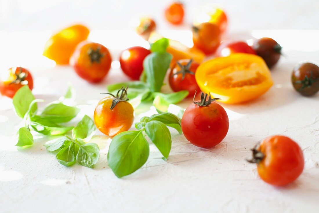 An arrangement of tomatoes with basil