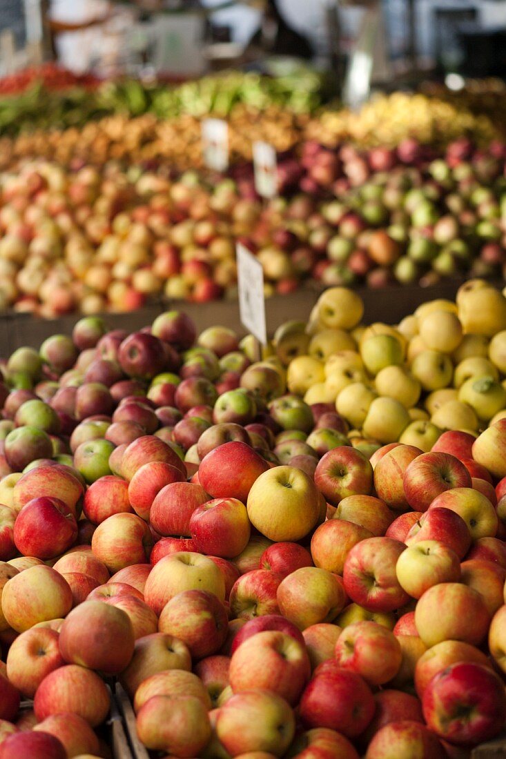 Äpfel auf dem Union Square Markt, NYC, USA