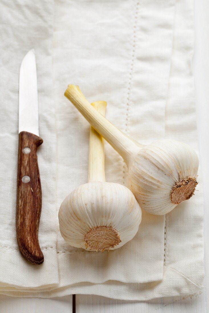 Argentinian garlic on a cloth with a knife