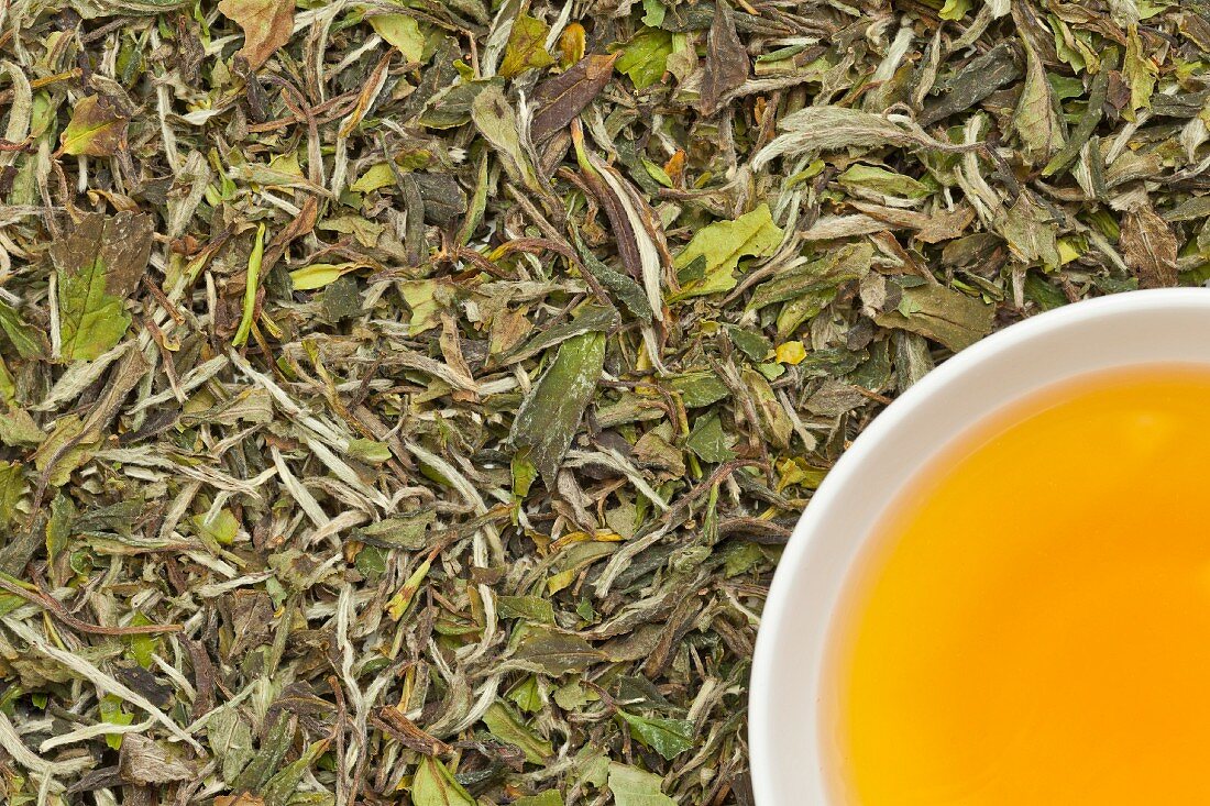 Weisser Tee in Teeschale auf Teeblättern