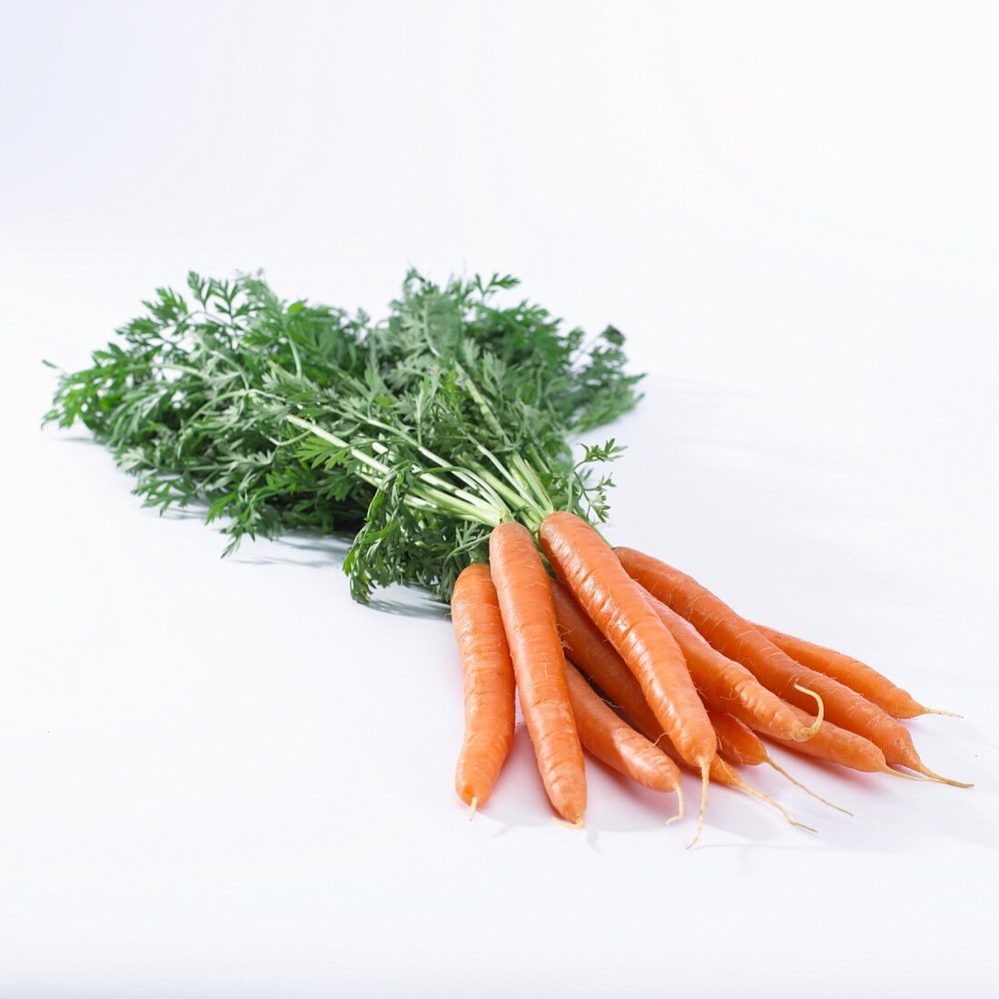 Fresh carrots