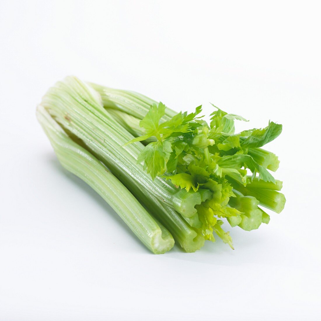 Celery