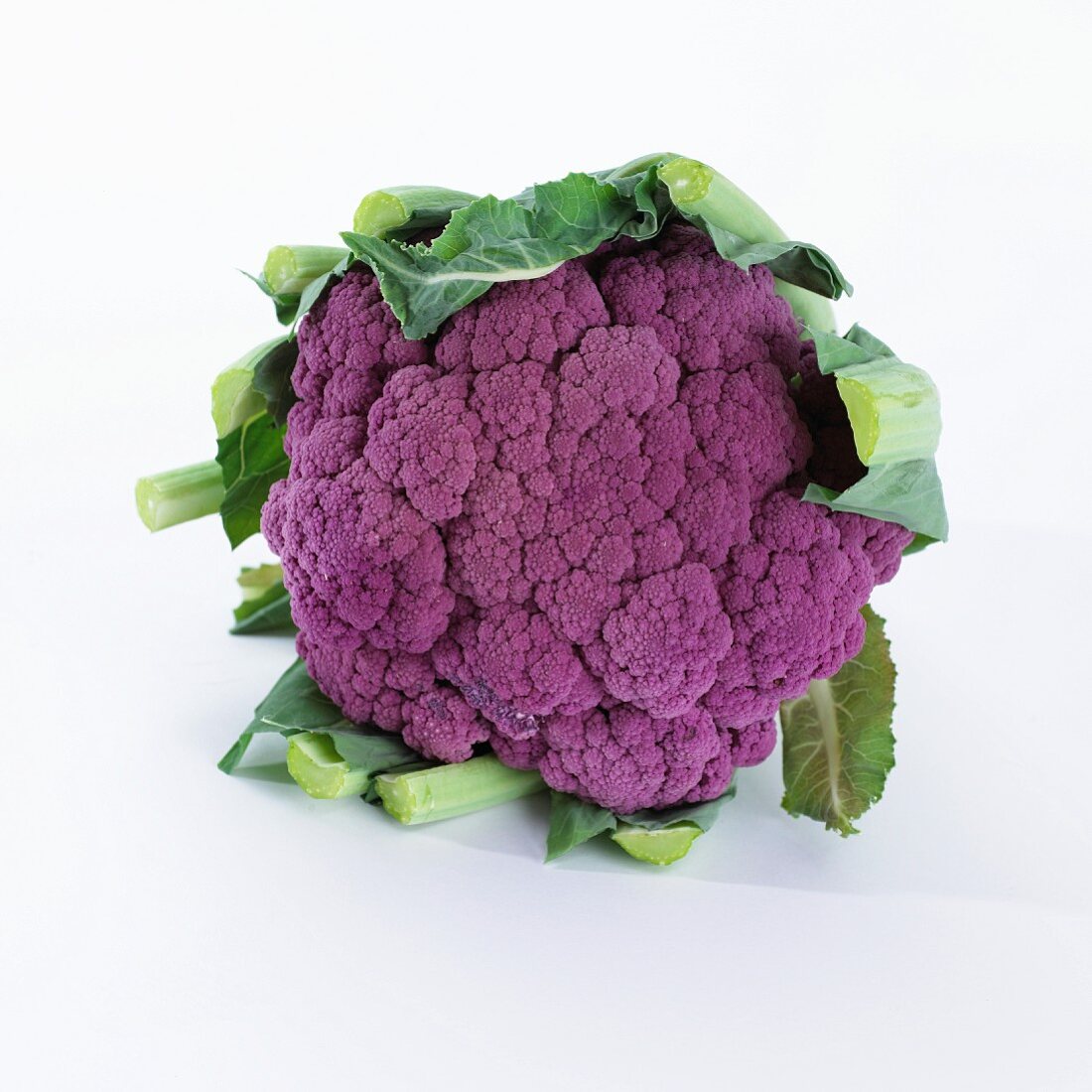 A purple cauliflower