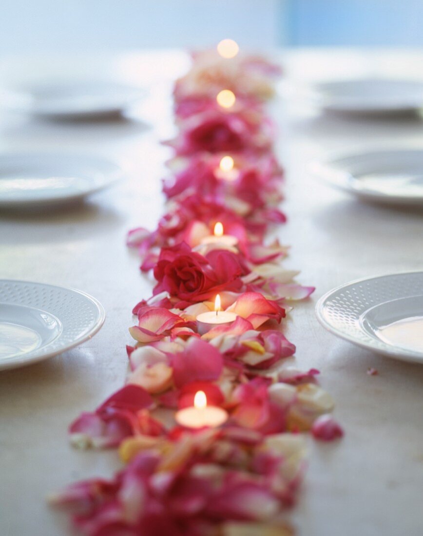 Roses, rose petals and tea lights as table decoration