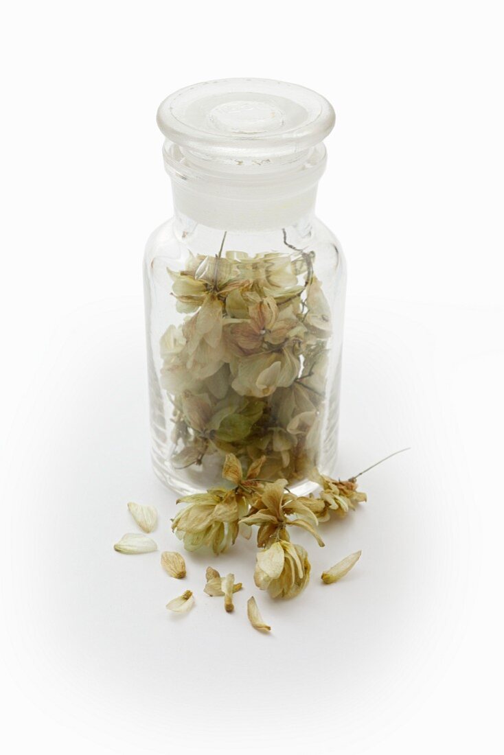 Dried hops in a glass jar