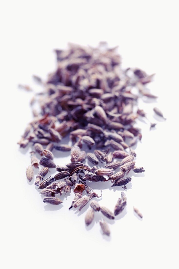 Dried lavender flowers