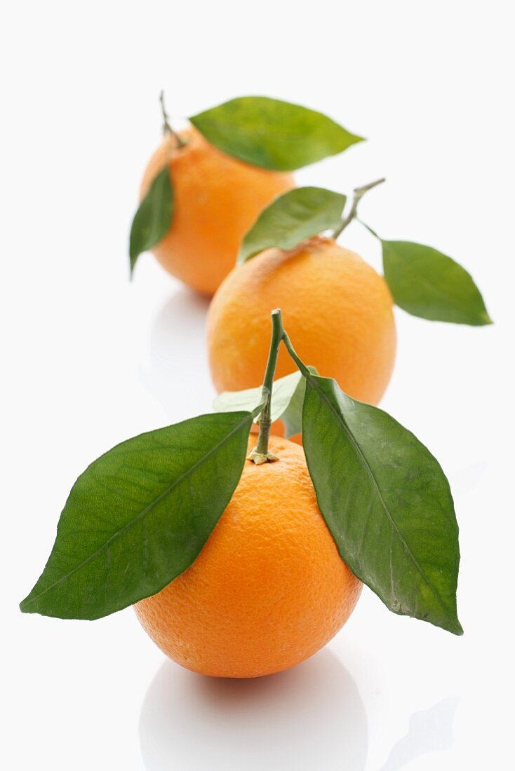 Drei Orangen mit Blättern