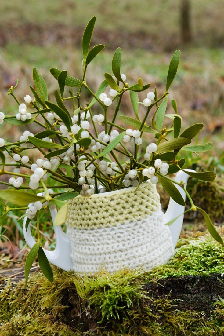 Mistletoe twigs in coffee pot with crocheted cover