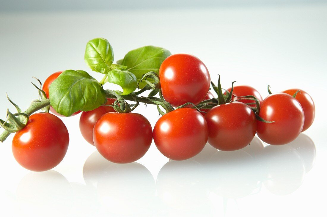 Kirschtomaten und Basilikum