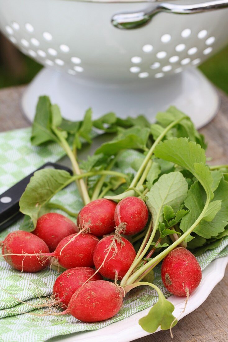 Fresh radishes