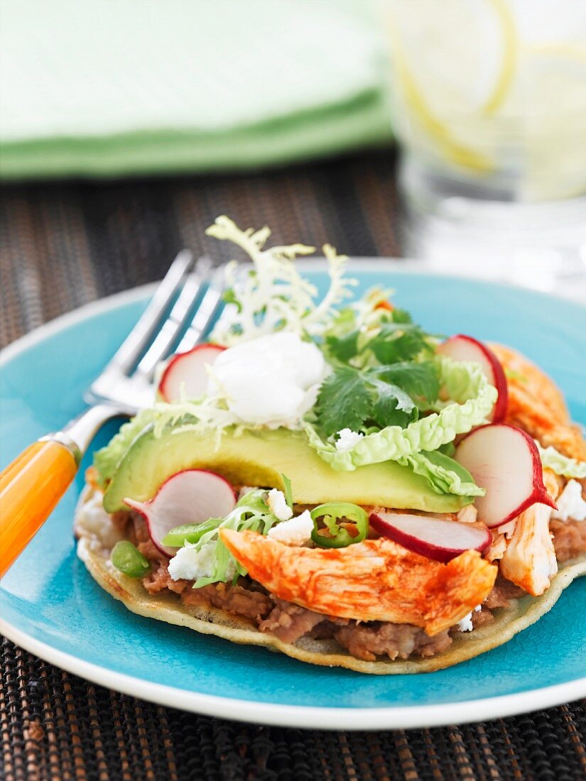Barbecue Chicken Tostada with Avocado and Radish