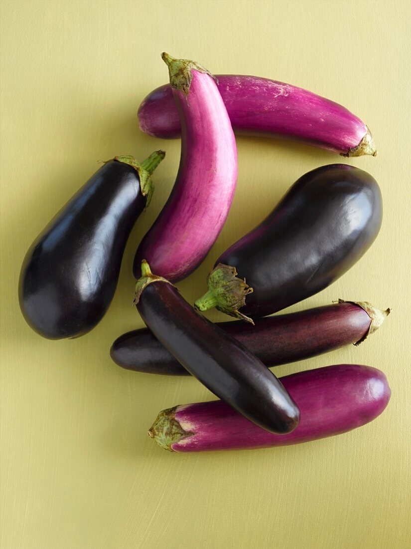Variety of Types of Eggplants