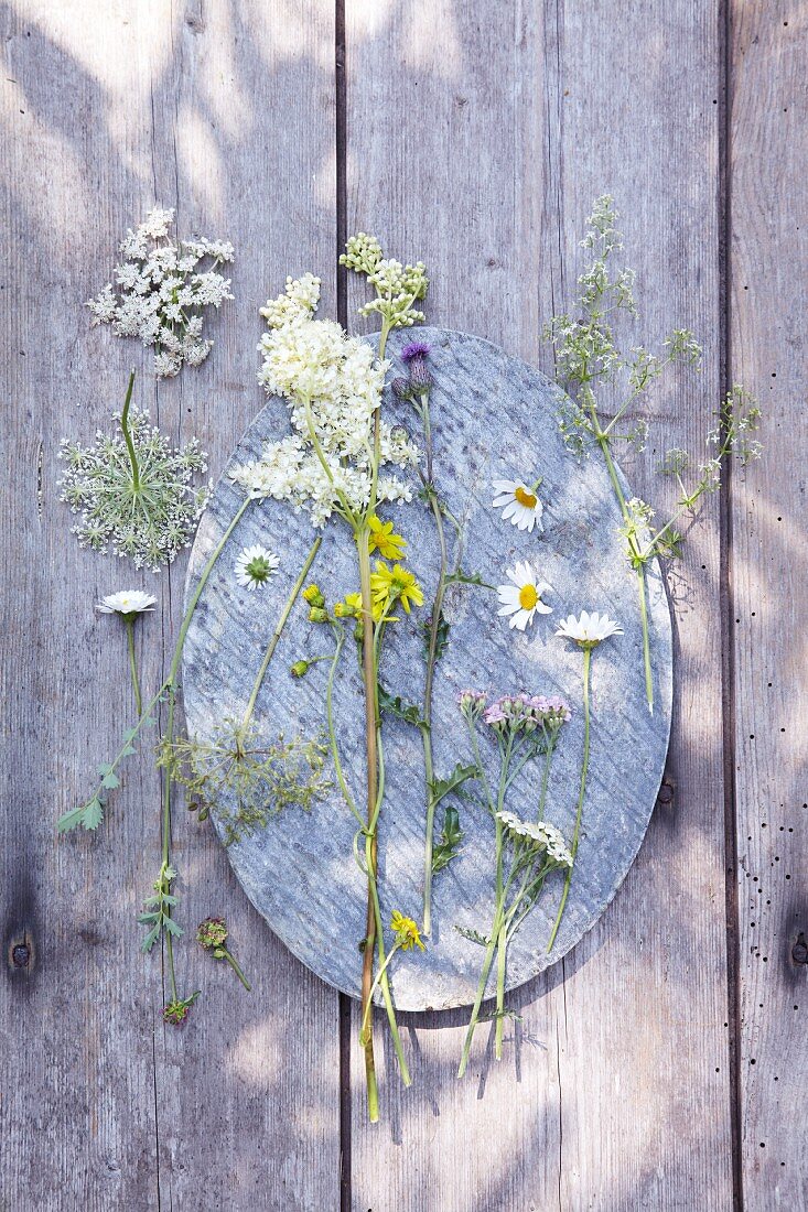 Verschiedene Wildblumen auf Tablett