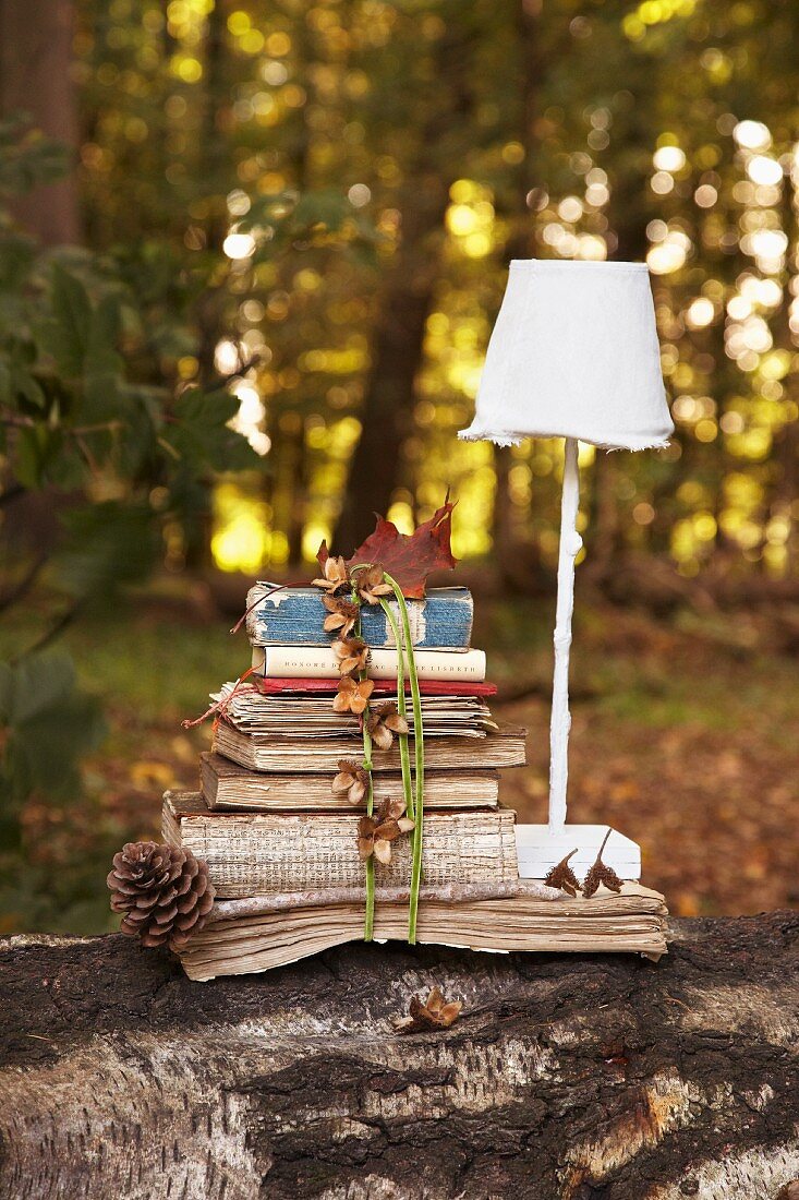 Tied stack of old books and letters and lamp with lampshade on tree trunk in autumnal woodland