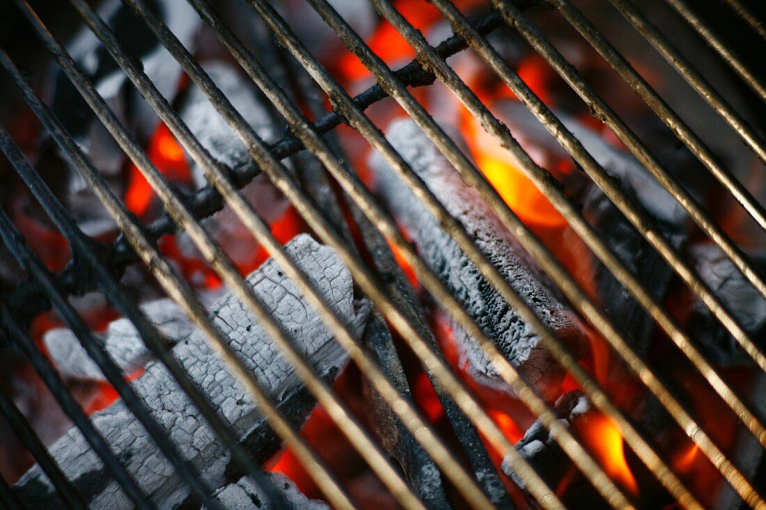 Grillrost auf Holzfeuer (Close Up)