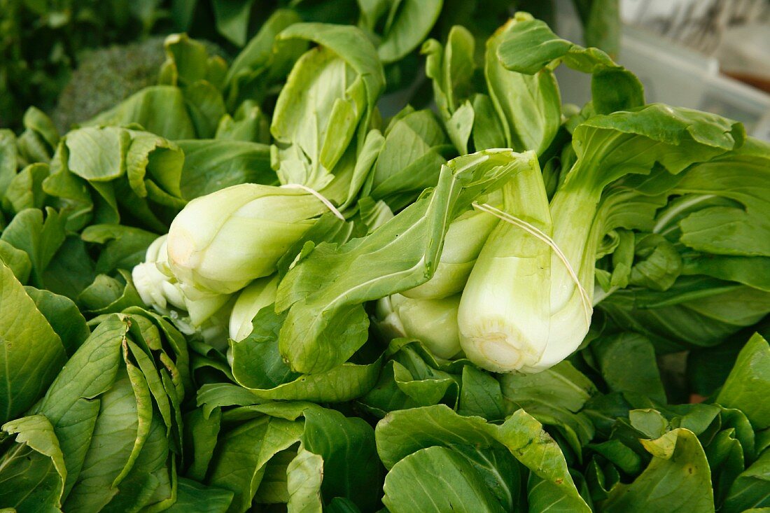 Organic Bok Choy on Display at Farmer's Market