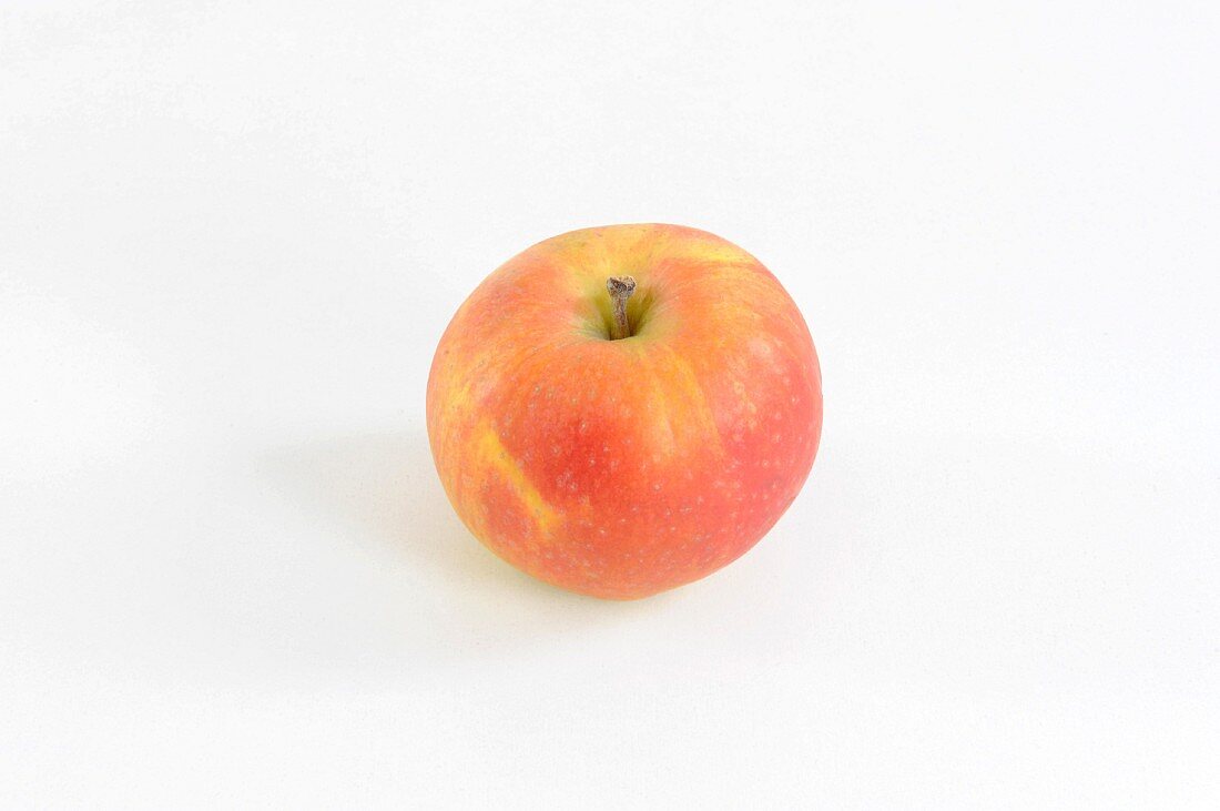Ein Apfel der Sorte Berlepsch