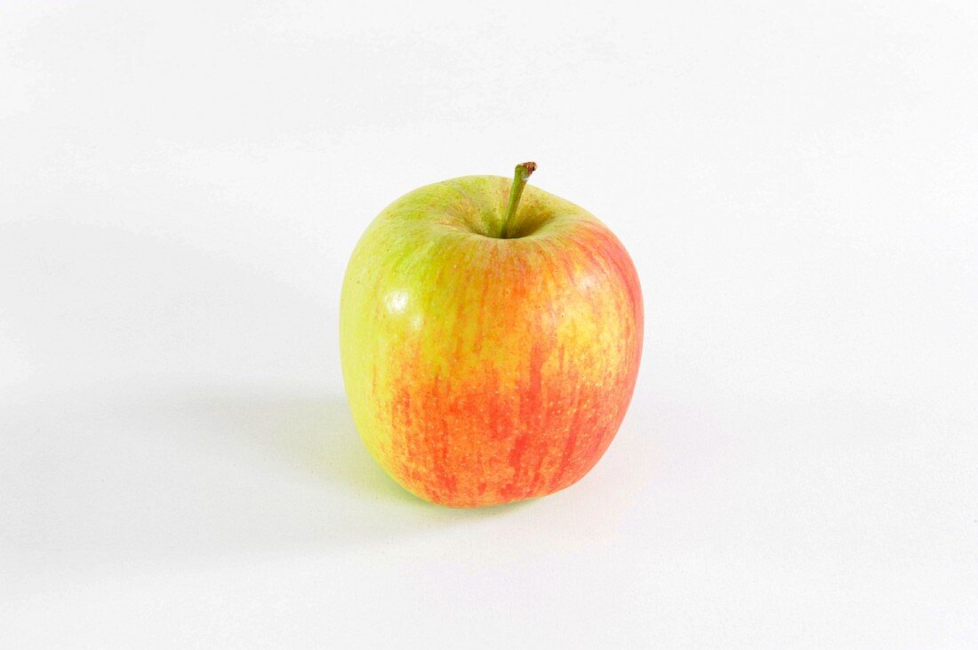 Ein Apfel der Sorte Delbarestivale
