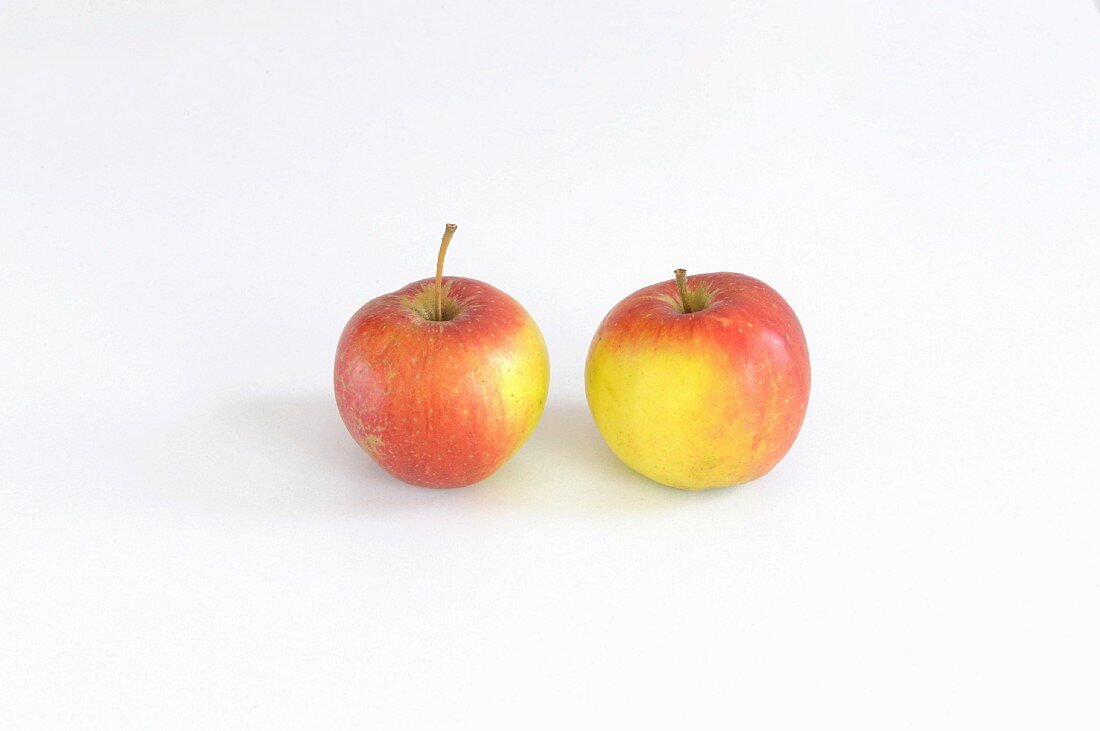 Zwei Äpfel der Sorte Elise