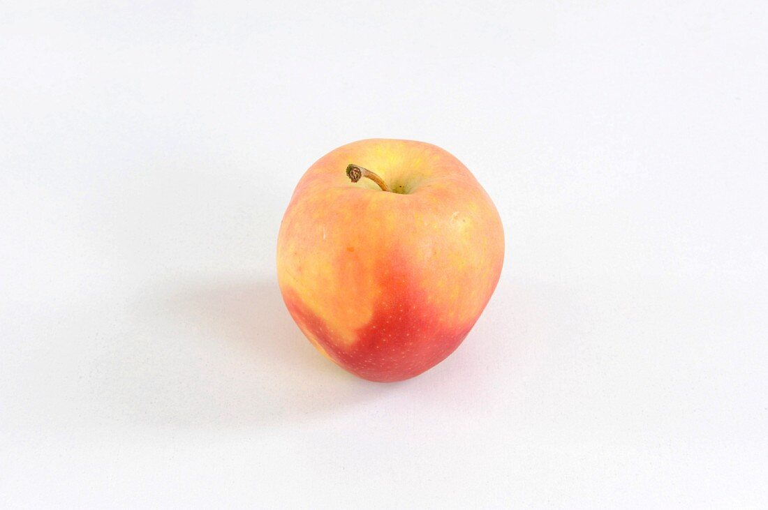 Ein Apfel der Sorte Regal Prince Gala