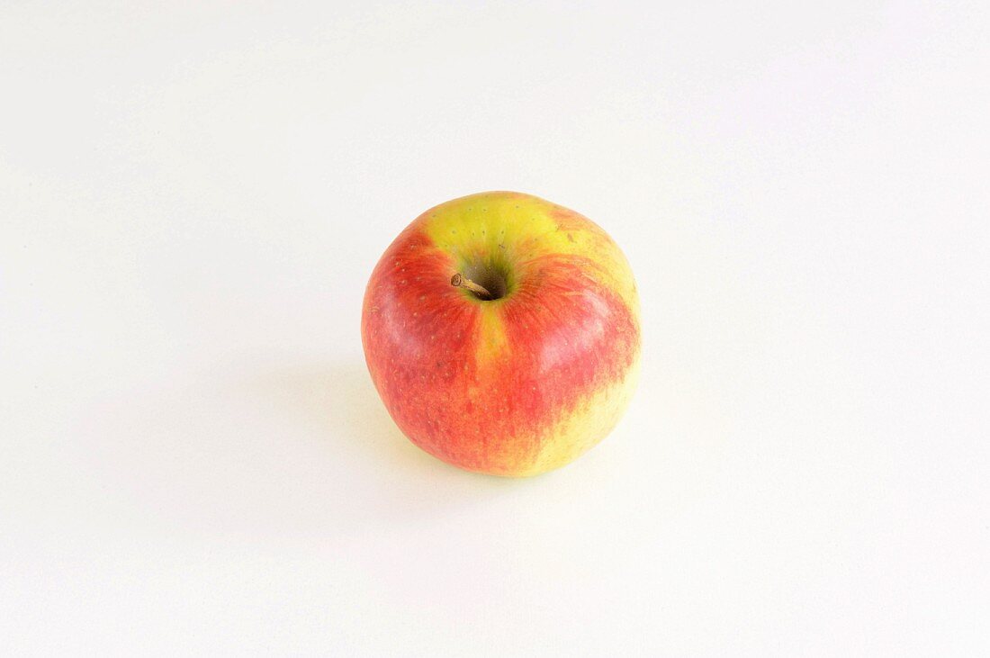 Ein Apfel der Sorte Sundowner