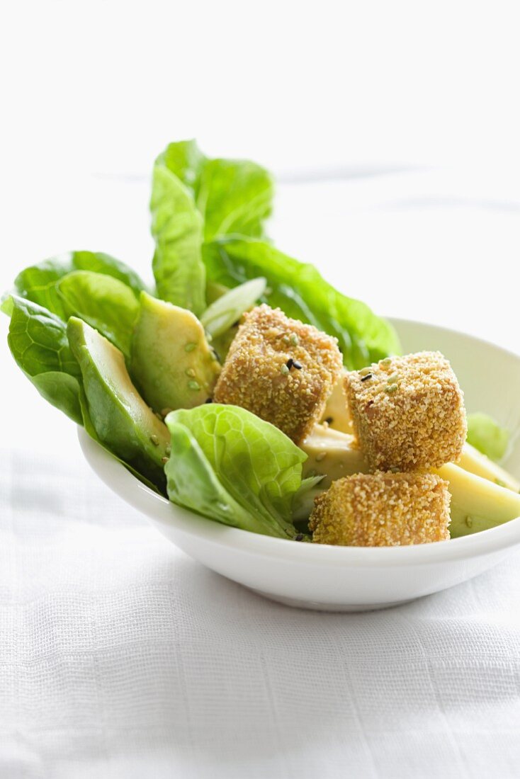 Breaded tofu on a bed of salad
