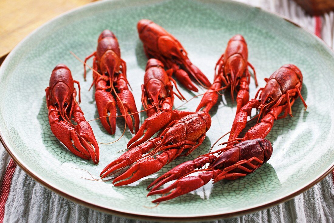 Cooked crayfish on a ceramic plate