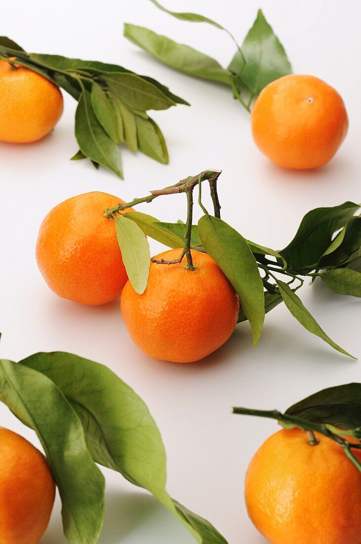 Fresh clementines with leaves