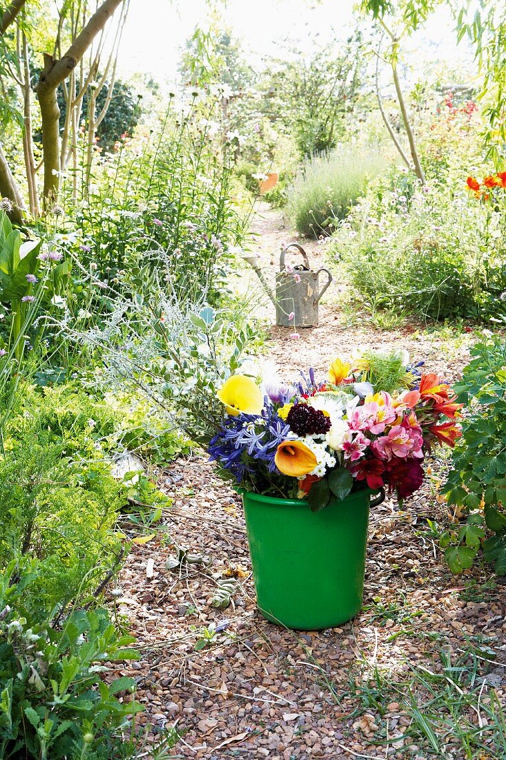 Green pail with colorful cut flowers and watering can in the background on a garden path between summer shrubs