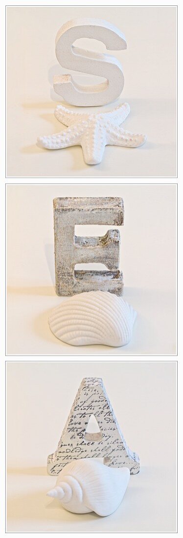Composition of separate photographs of wooden letters and seashells