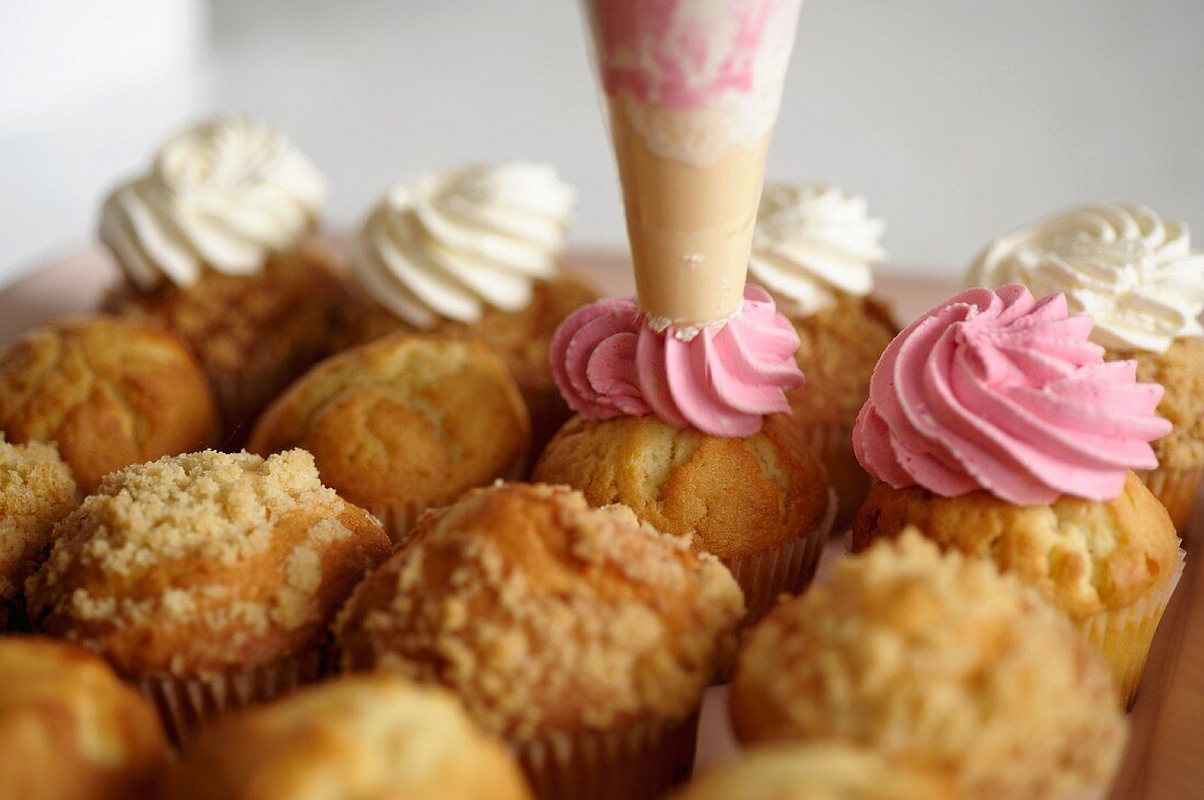 Cupcakes being frosted