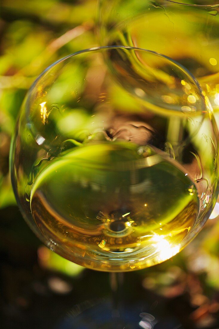 Weißwein aus dem Friaul im Glas