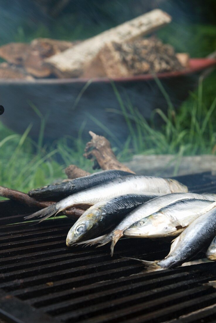 Sardines on a barbecue