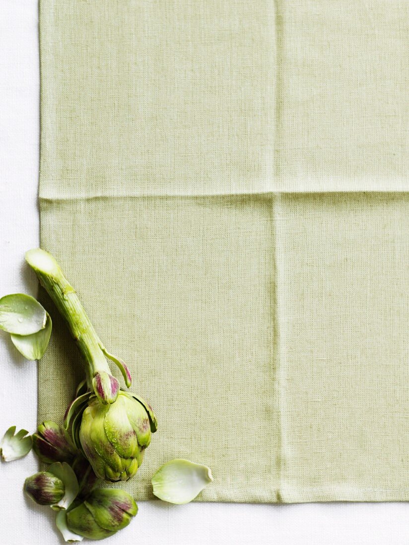 An artichoke on a neutral surface