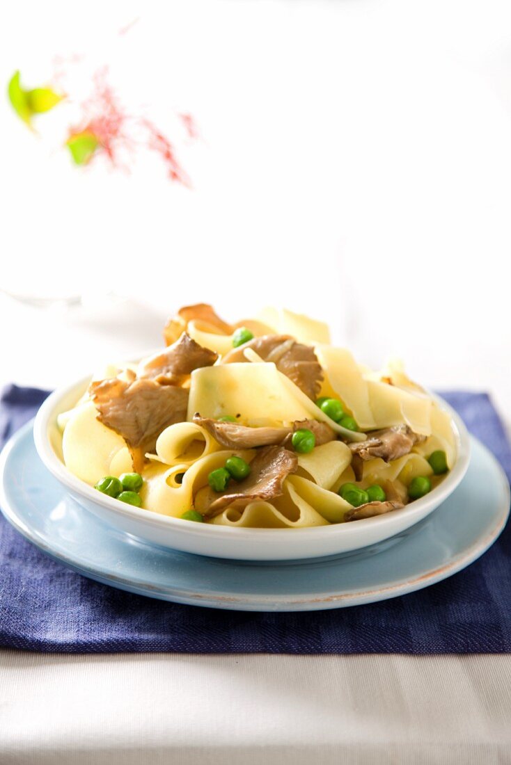 Pappardelle pasta with mushroom sauce