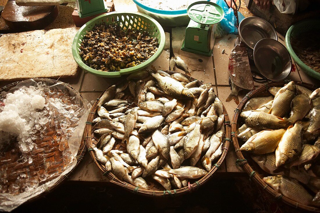 Fischmarkt in Hue, Vietnam