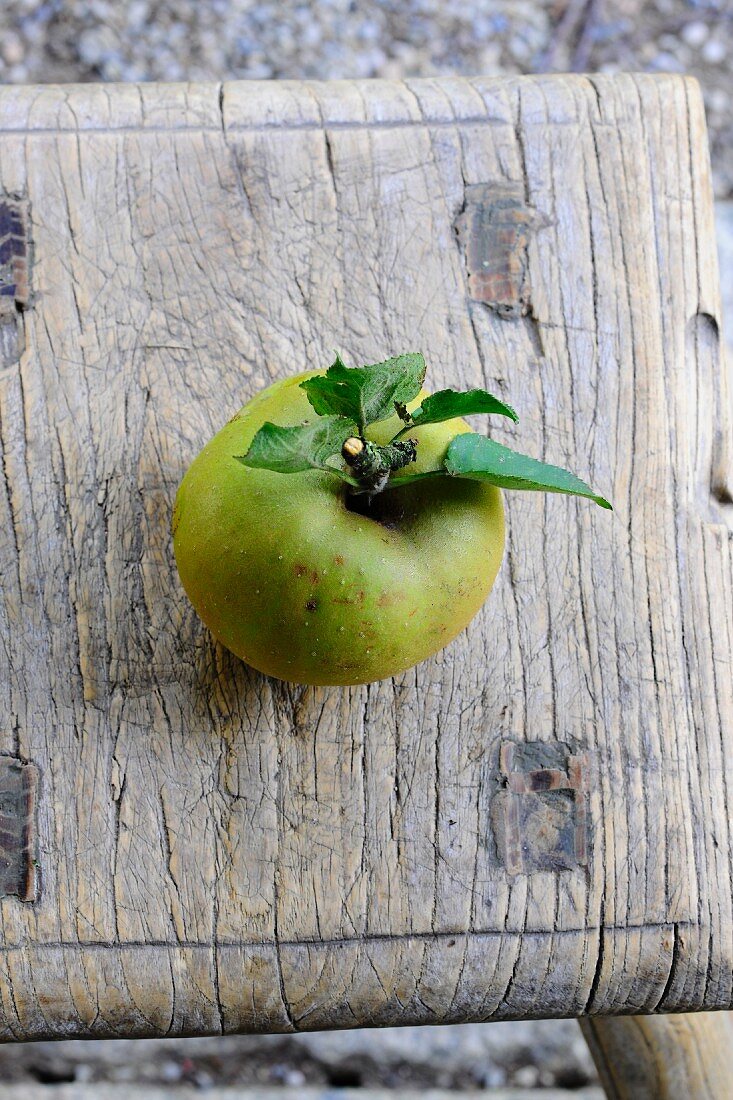 A rough skinned apple with stems and leaves