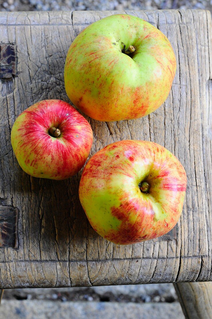 Three apples (Geheimrat Oldenburg, autumn apples)