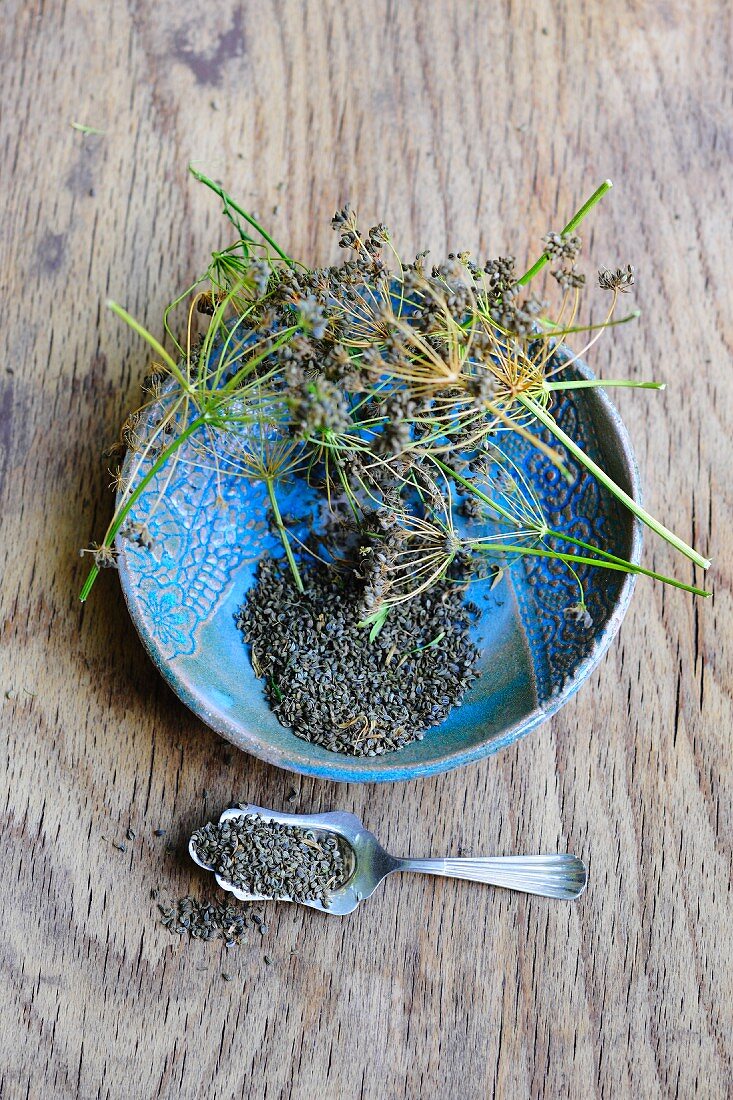 Parsley seeds in a bowl and on a spoon