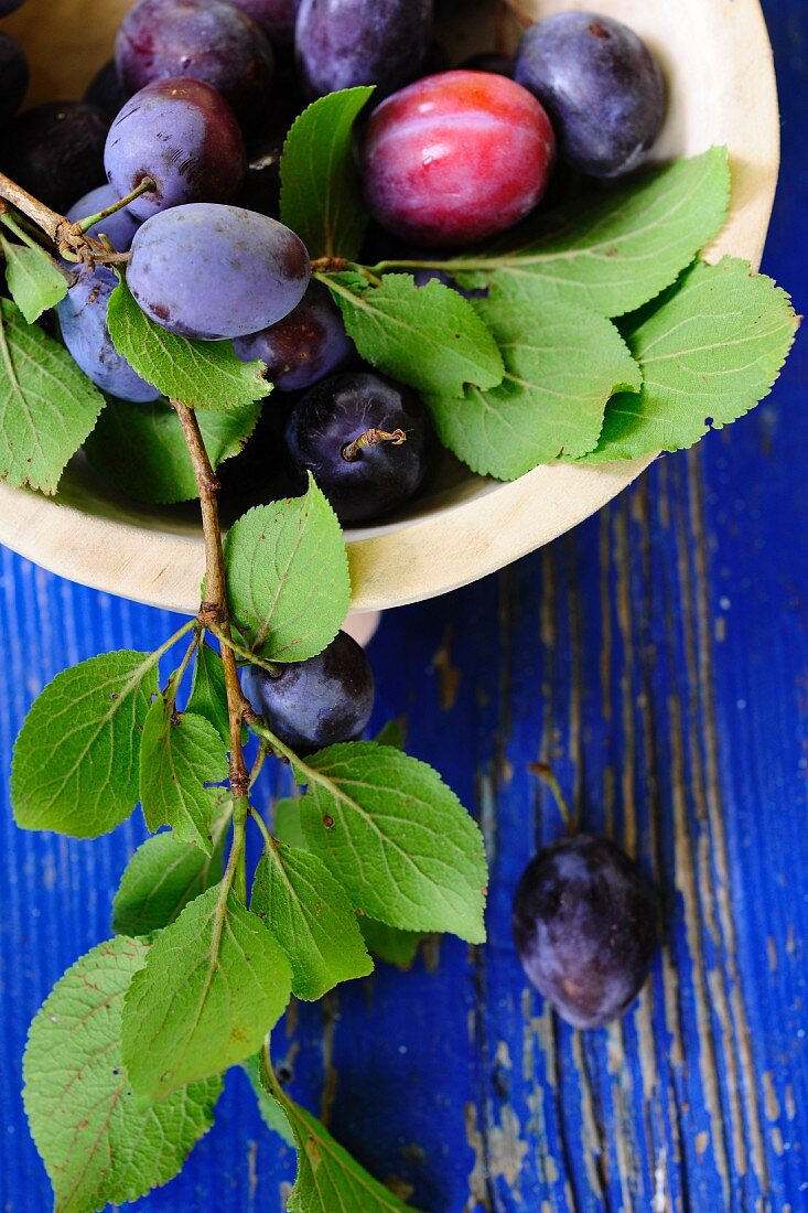 Damsons with leaves in a bowl